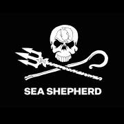 Sea Shepherd Nederland