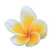 Singsingvillasatbali.com