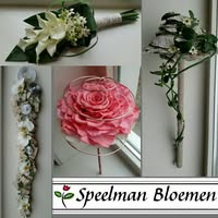 Speelman bloemen