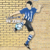 Sportvereniging Zwaluwen Den Hoorn