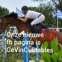 Springstal cindy perdaen