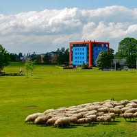 Stadspark Schothorst Amersfoort