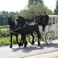 Stalhouderij van Roekel