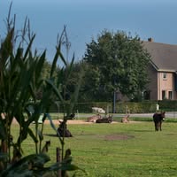 Bed & Breakfast "Op 7"