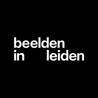Beelden in Leiden