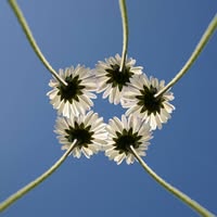 Therapiepraktijk 'De Balanz'