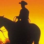 Trailranch Diever