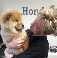 Trimsalon HOND & HAAR