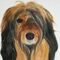 Trimsalon Lilian Belga
