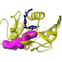 UU - Drug Innovation
