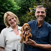 Vadász Vizsla Kennel