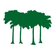 Van der Steen Bomen