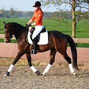 Verboon VOF