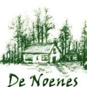 Vereniging "De Noenes"