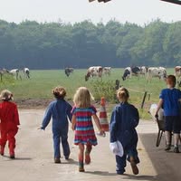 Vermeulen Melkvee en edu- recreatie