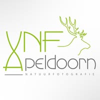 VNF Apeldoorn