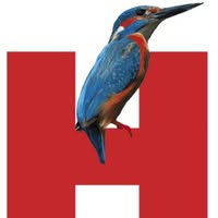 Vogelhospitaal Naarden