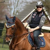 Walther Jumpinghorses