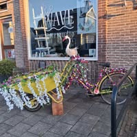 Wave Hairstudio