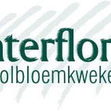 Winterflora