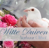 Witte Duiven Verhuur Olthof