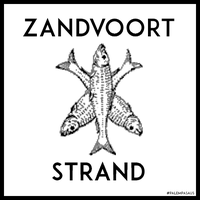 Zandvoort Strand