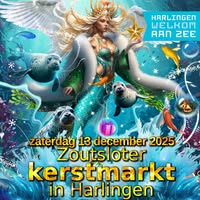 Zoutsloter Kerstmarkt