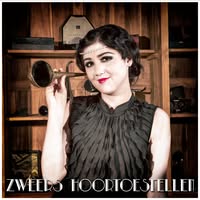 Zweers Hoortoestellen