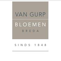 Bloemen van Gurp Breda