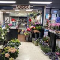 Bloemenwinkel Moooi