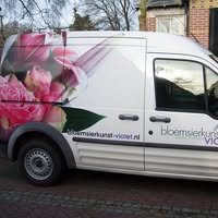 Bloemsier-kunst Violet Wapenveld