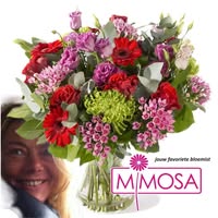 Bloemsierkunst Mimosa