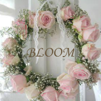 Bloom
