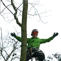 Boomwerk Bilthoven