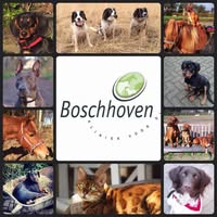 Boschhoven kliniek voor dieren