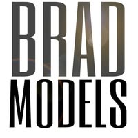Brad Models