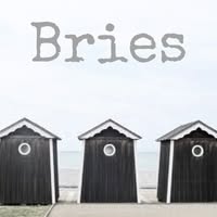 Bries