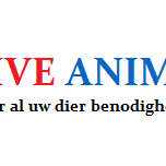 Active animals
