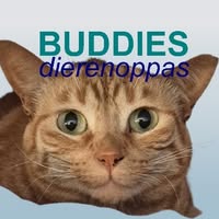 Buddies Dierentotaalzaak & Dierenoppasservice