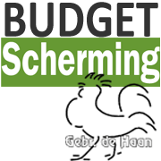 Budget scherming