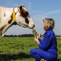 Activiteitenboerderij Het Hobbyschuurtje