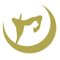Aelivé hifi projecten