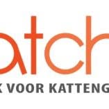 Catchy - Praktijk voor kattengedrag