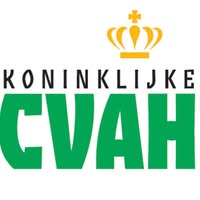Centrale Vereniging voor de Ambulante Handel