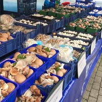 Champignonskraam Tilburg