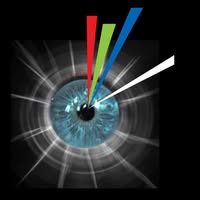 1IVision