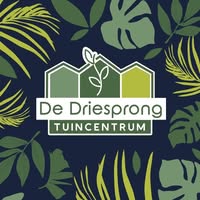 De Driesprong