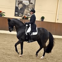 De Gerner Slag Stalling & Training