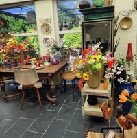 De kapwinkel home