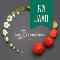 De Kneppeltuin